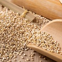 Quinoa Gandum Utuh Kelas Ekspor untuk Importir, Pedagang Grosir, dan Distributor Makanan