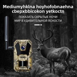Caméra de chasse 4G pour l'extérieur, caméra d'<span class=keywords><strong>observation</strong></span> des <span class=keywords><strong>animaux</strong></span> HD, vision nocturne infrarouge, induction, alimentation solaire, 4MP TF - Product Image 4