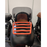 High Quality Side Car Pedal Assist Bike Sidecar to Carry Pets and Kids Electric Fat Tire Tricycle Electric Dirt Bike 3 Wheel