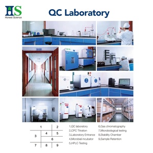 Poudre de Peptides de Collagène Hydrolysé Haute Pureté 99% Inodore et Soluble – Approvisionnement Direct Usine en Vrac - Product Image 4