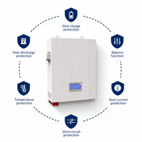 Batterie LiFePO4 murale 25,6 V 100 Ah pour stockage d'énergie solaire domestique, système solaire hors réseau, batterie lithium-ion