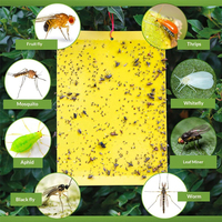 20x10 cm Dubbelzijdige Biologische Muggenvanger Kleverige Insectenlijm Monitor Waterdichte Vliegende Insectenstickers voor Veld/Boerderij/Kas