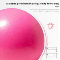 Ballon de Pilates en PVC en gros, mini-ballon d'exercice de 25 cm pour le renforcement du tronc, le tonification des fessiers, la barre et le yoga à domicile