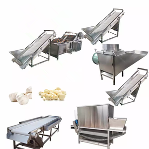 Ligne de traitement de l'ail entièrement automatique Machine à éplucher les bulbes d'ail à vendre - Product Image 1