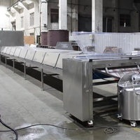 Machine de fabrication de pépites de chocolat de haute qualité à contrôle facile, machine de formage de pépites de chocolat avec tunnel de refroidissement