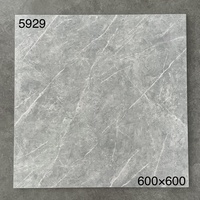 Carrelage de sol en marbre moderne mat 60x60, résistant aux acides, antibactérien, pour salle de bain, carrelage de sol en céramique antidérapant pour hôtel et salon