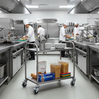 Chariot de service de cuisine en acier inoxydable à 2/3 niveaux, fournitures hôtelières pour restaurants et hôtels
