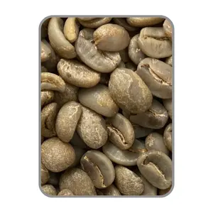Arabica Catimor Professional Team Arabica Coffee Beans Customized Logo Green Coffee Vietnam Product Manufacturer