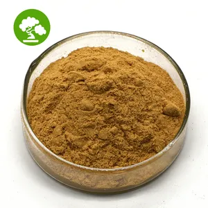 Cung cấp nhà máy Ceylon quế chiết xuất polyphenol 10% Ceylon quế chiết xuất