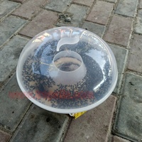 Herbruikbare multifunctionele wespen- en fruitvliegenvanger van plastic voor binnen en buiten