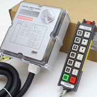 Control Remoto Inalámbrico para Grúa con 12 Botones, Velocidad Única, Resistente al Agua IP66, con Bloqueo