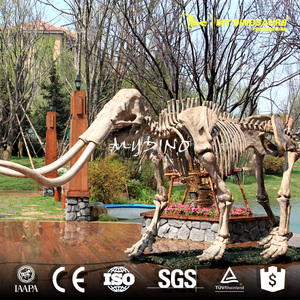 Mon Dino A547 Glaciaire Animal Grandeur Mammouth Fossiles pour Musée - Product Image 3