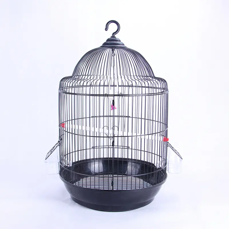 Manufacturer Wholesale Large Classical European Round Canary Big Parrot Bird Cage