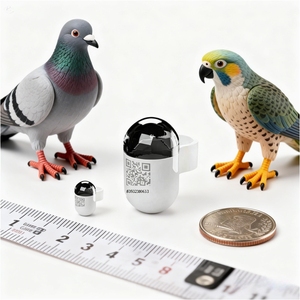 เครื่องติดตาม GPS สำหรับนกพิราบ ไม่ต้องใช้ซิมการ์ด พร้อมแอปฟรีตลอดชีพ ตัวระบุตำแหน่งสัตว์เลี้ยงทำจากพลาสติก ใช้งานได้ทั่วโลก - Product Image 4