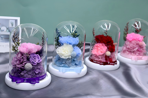 Vente en gros de fleurs éternelles en dôme de verre : œillets, roses, hortensias – Cadeau romantique pour la Fête des Mères, la Fête des Enseignants, les anniversaires - Product Image 6