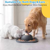 Bol anti-dérapant personnalisé pour chien avec boule roulante interactive, gamelle à alimentation lente et tapis à lécher pour liquides et friandises épaisses