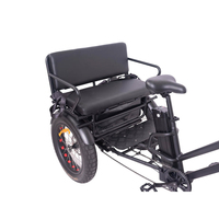 KUAKE Nouveau Design Tricycle Électrique à Conduite Assistée 750w Ebike avec Moteur Bafang Tricycle Électrique Cargo Pneus Gras 3 Roues Trike pour Famille