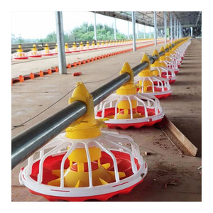 <strong>Automatic</strong> Poultry <strong>Feeder</strong> for Broiler Breeder Chicken|poultry <strong>Feeders</strong> and Drinkers - Product Image 1