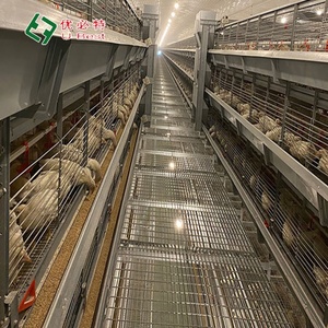 Automatic H Type Poultry Equipment <strong>Egg</strong> Laying Hen Cages Design Layer <strong>Chicken</strong> Cages for Farm - Product Image 4