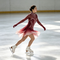 Robe de patinage artistique à col haut et manches longues, dégradé rouge vin avec strass, en tissu mesh pour compétition et spectacle sur glace (adultes et enfants)
