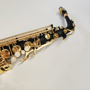 Saxophone alto en mi bémol en laiton laqué noir, résistant à la rouille, instrument <span class=keywords><strong>de</strong></span> haute qualité, directement <span class=keywords><strong>de</strong></span> l'usine - Product Image 3