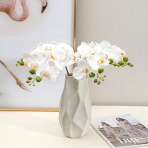 Orquídea Phalaenopsis Blanca de Tallo Corto Simulada de Alta Calidad, Planta Artificial para Fotografía con Tacto Húmedo y Realista - Product Image 1