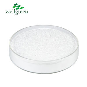 Wellgreen en iyi fiyat glukozamin sodyum tozu Sulfat tuz tedarikçiler kondroitin kondroitin sülfat - Product Image 3