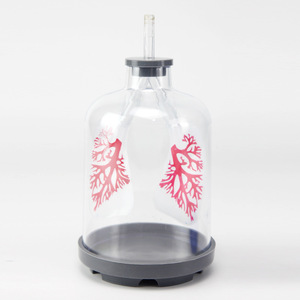 Modèle d'hernie pulmonaire, équipement expérimental avec fonction de simulation de fumée et simulateur de mouvement du diaphragme (collège) - Product Image 1