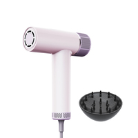 Moderne de haute qualité 1600W 110V 240V haute vitesse sèche-cheveux cheveux bouclés Multi Styler Salon sèche-cheveux dortoir hôtel RV utilisation