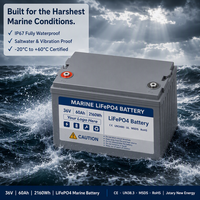 Batterie marine LiFePO4 étanche personnalisée 36V 60Ah 100Ah 200Ah avec BMS intelligent intégré, emballage neutre, marque privée