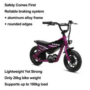 TXED Populaire Moteur de moyeu arrière 12 pouces 24V 180W 24V 5.2Ah Mini Vélo Électrique pour Enfants Style Moto - Product Image 3