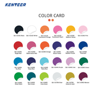 Vinilo Textil Termotransferible de PVC en Rollo, Película Termoadhesiva Mate Polyflex para Impresión de Camisetas, Proveedor de Vinilo al por Mayor