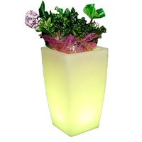 Pot de fleurs LED lumineux RGB, télécommande, étanche IP65, alimentation solaire/à piles, 16 couleurs changeantes, intensité réglable, pour jardin, hôtel