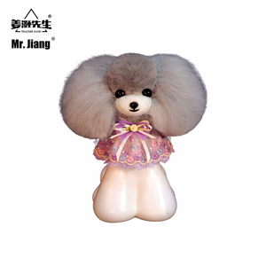 Mr.Jiang Teddy Head Hair <span class=keywords><strong>Pet</strong></span> Teacher Beauty Modeling Practice Dog Model Standard Skeleton Model Dog Whole Body Hair - Product Image 5