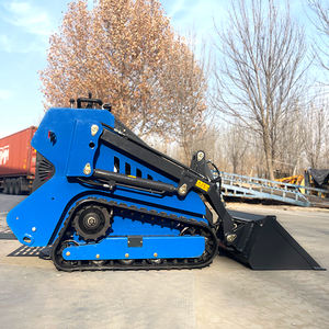 Mini-chargeuse compacte T800 à moteur essence pour la <span class=keywords><strong>location</strong></span>, modèle exclusif transfrontalier, petite chargeuse frontale sur chenilles, usine chinoise - Product Image 5