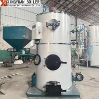 LHG 300kg 500kg 1000kg Boiler Uap Biomassa Berbahan Bakar Batubara Tanpa Asap untuk Ruang Sauna