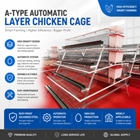 Nouveau système de cages à poules pondeuses de type A en acier galvanisé, alimentation automatique, gain de place, équipement commercial pour élevages de poules pondeuses