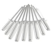 Fraisage de polissage de haute qualité en acier inoxydable A2 SS 304 SS316 INOX tête ronde extrémité ouverte Rivet aveugle DIN7337