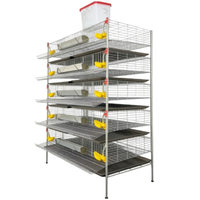 Système de cages en batterie en fer galvanisé robuste pour l'élevage automatisé de cailles