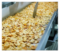 Hoogwaardige Volautomatische Industriële Frituur Apparatuur Voor Chips Stick Snacks Nieuwe Voedsel Maken Machine Fruit Maïs Noten