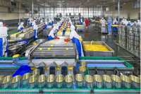 Machine de fabrication d'aliments en conserve de marque chinoise, pour légumes et fruits en conserve