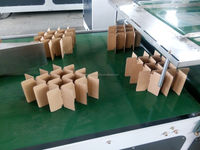 Machine complètement automatique d'assemblage de séparation -- Machines de carton ondulé (sur mesure selon le besoin de travail différent)