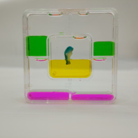 Ornement sensoriel carré multicolore avec canard flottant et mouvement liquide, minuteur à bulles, goutte d'eau, jouet apaisant, souvenir, cadeau