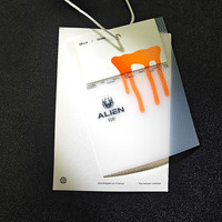 Étiquettes suspendues en PVC transparent personnalisées avec logo imprimé, étiquettes de vêtements de luxe avec cordon et épingle, étiquettes en papier pour vêtements