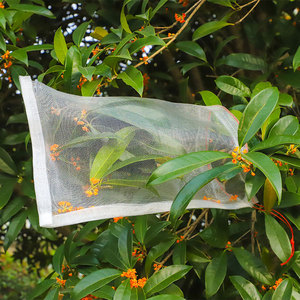 ถุงตาข่ายป้องกันแมลงสำหรับผลไม้ ผลิตจากพลาสติก HDPE บริสุทธิ์ 100% <span class=keywords><strong>ขาย</strong></span>ดีในจีน/ถุงตาข่ายป้องกันแมลงสำหรับมะม่วง - Product Image 1