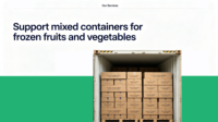 Petits pois verts surgelés IQF certifiés BRC HACCP, qualité supérieure, norme d'exportation, 10 kg, vente en gros