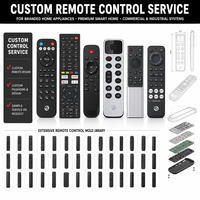 Télécommande IR en plastique à code fixe 30 touches pour TV et projecteur, multi-protocoles (IR/BLE/RF), fabricant OEM/ODM
