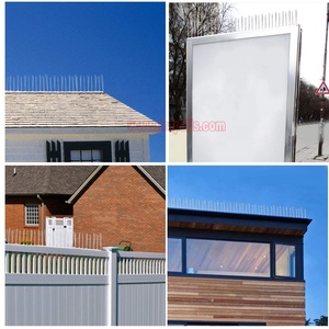 <span class=keywords><strong>Traitement</strong></span> UV de haute qualité sur le toit en acier inoxydable Pigeons Cat Control <span class=keywords><strong>Anti</strong></span> Bird Spikes - Product Image 6