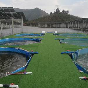 Trung Quốc nóng bán châu Á Châu phi vật liệu mới nhất chăn nuôi cá rô phi cá da trơn cá chép mạ kẽm tấm Cá Ao - Product Image 6