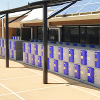Casier de livraison de colis extérieur intelligent avec serrure électronique pour les fonctionnalités scolaires ou communautaires des supermarchés Logiciel de casier intelligent